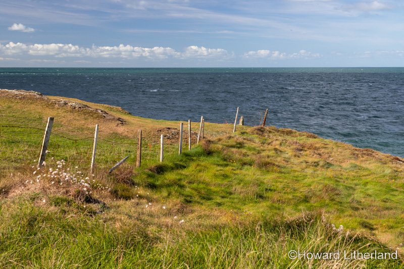 Clifftop grass meadow at Bull Bay on the coast of Anglesey, North Wales