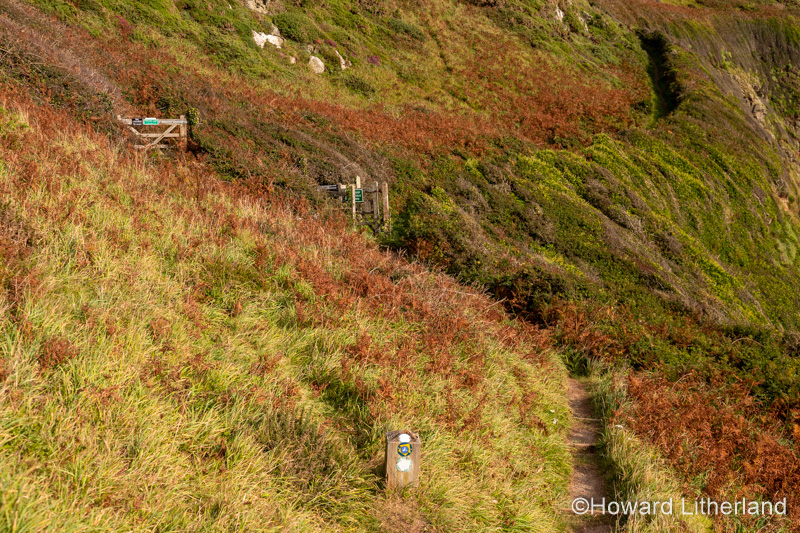 Anglesey coastal path at Church Bay, North Wales