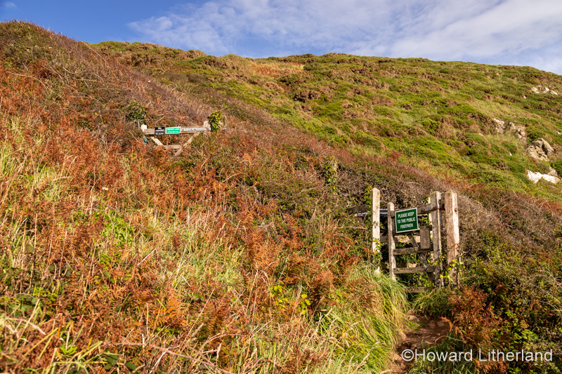 Anglesey coastal path at Church Bay, North Wales