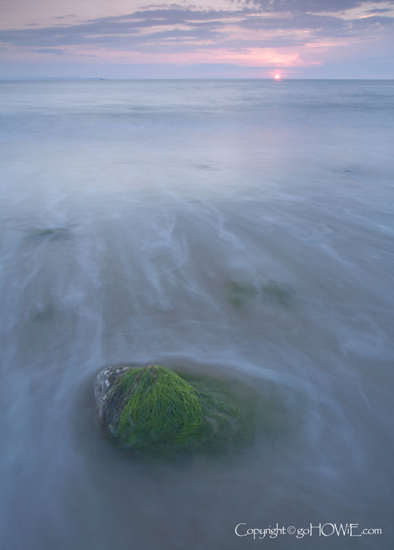 A seaweed covered rock on the beach at sunset, Llandudno, North Wales