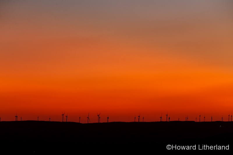 Clocaenog wind farm at dusk, North Wales