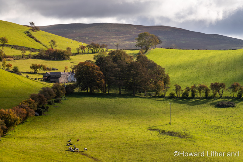 Farm and fields in the Clwydian Range, North Wales