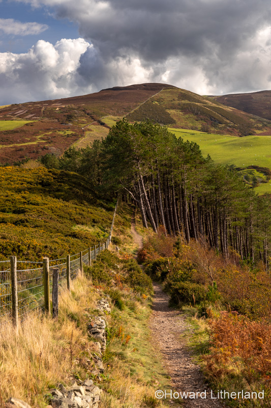 Offa's Dyke path, Clwydian Range, North Wales
