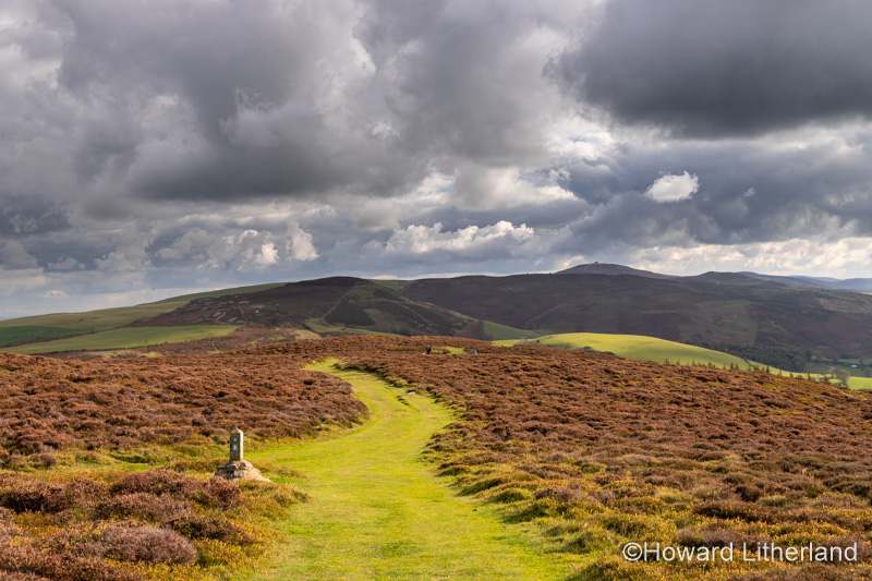 Offa's Dyke path, Clwydian Range, North Wales