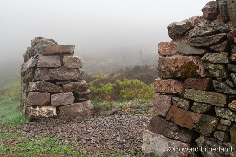 Drystone wall in mist, North Wales
