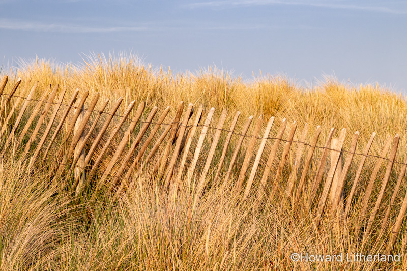 Grass covered sand dune with fence at Llandudno on the North Wales coast