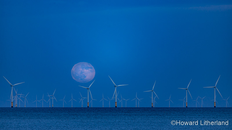 Full moon rising at dusk over offshore wind turbines