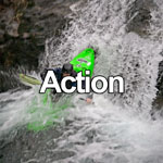 Action Photo Gallery