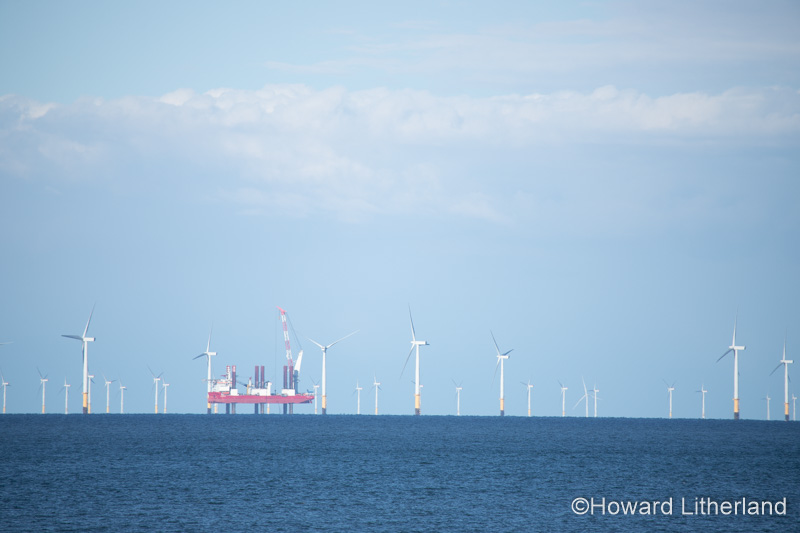 Gwynt-y-Môr offshore windfarm from Llandudno, North Wales