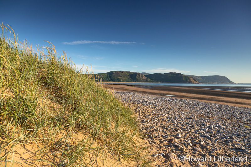 Sand dune at Llandudno West Shore, North Wales coast