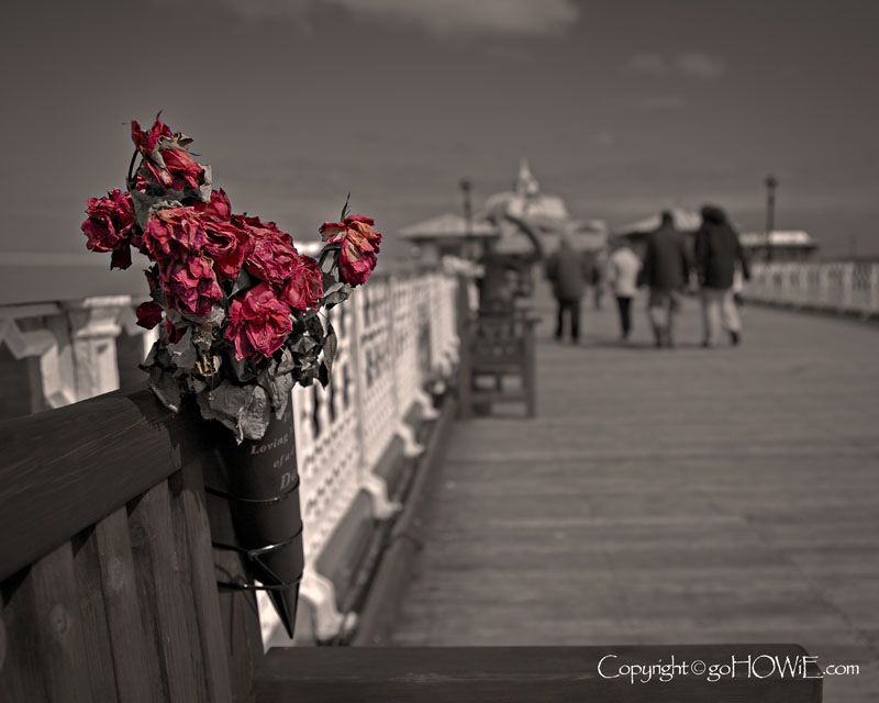 Flowers on the pier, Llandudno, North Wales
