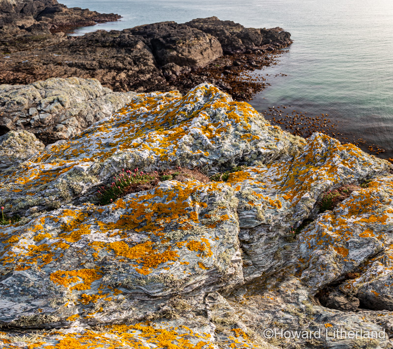Lichen covered schist rock formation at Porth Dafarch, Anglesey, North Wales