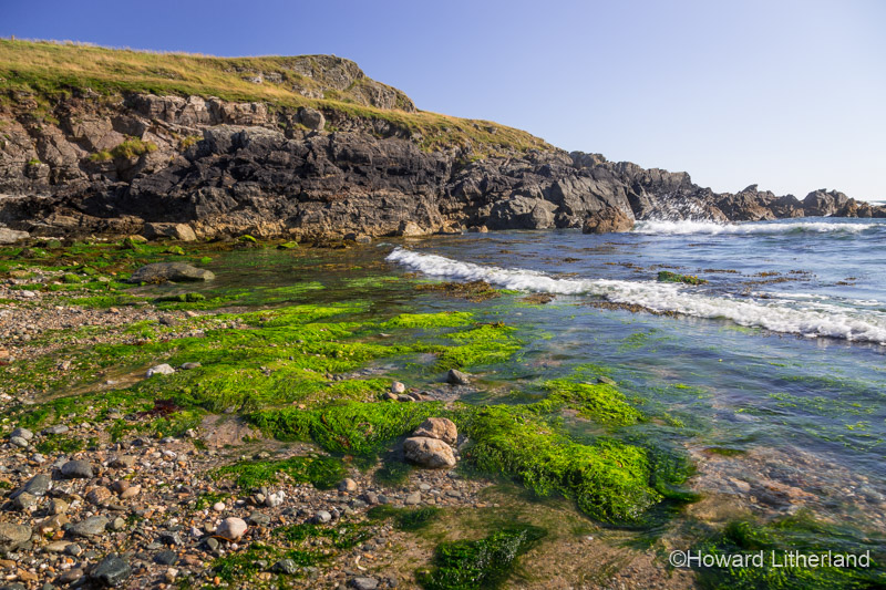 The beach with seaweed at Porth Trecastell on Anglesey on the North Wales coast