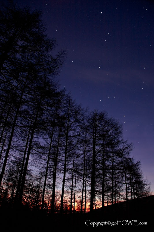 Stars over trees, Moel Famau, North Wales
