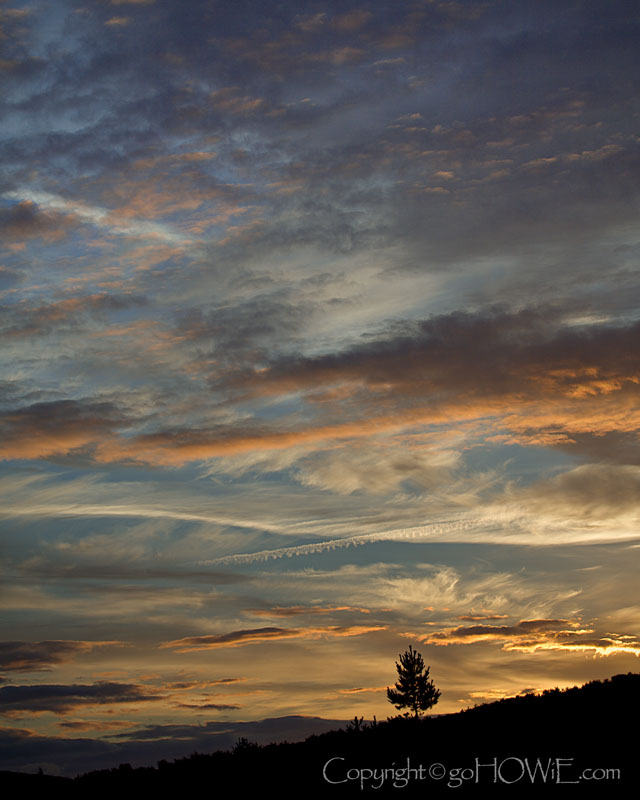 Tree and clouds, Moel Famau, North Wales