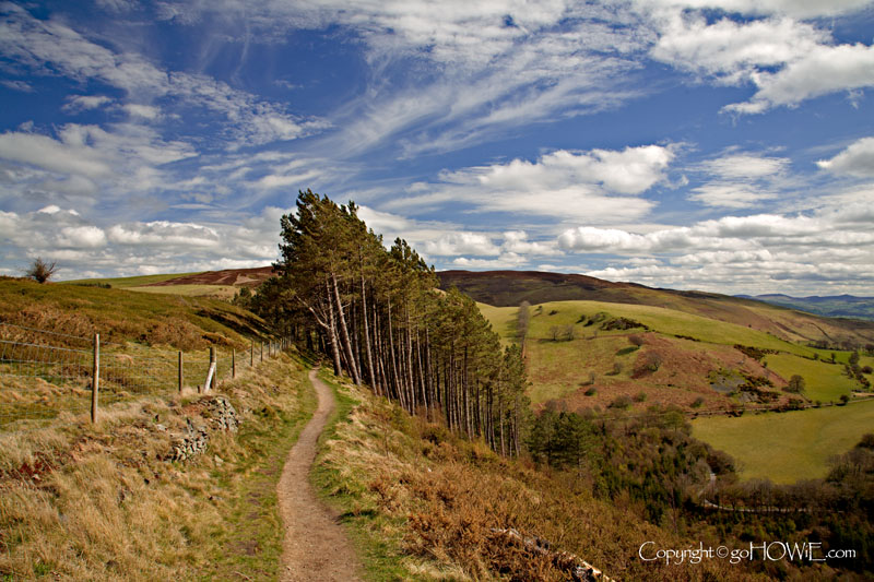 Clouds and trees on Offa's Dyke, North Wales