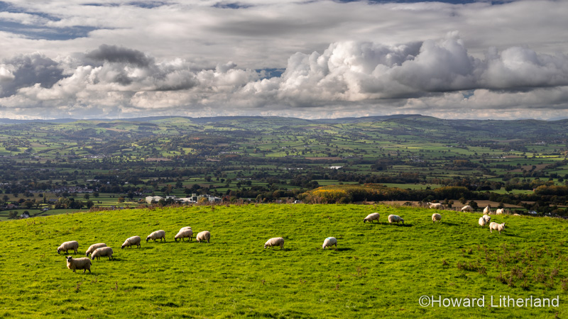 View over the Vale of Clwyd from the Clwydian Range, North Wales