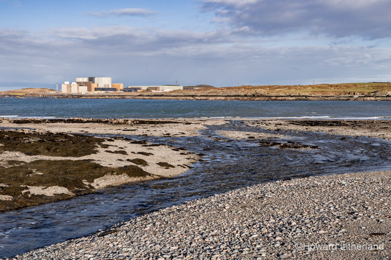 Wylfa nuclear power station as viewed from Cemlyn nature reserve, Anglesey, North Wales