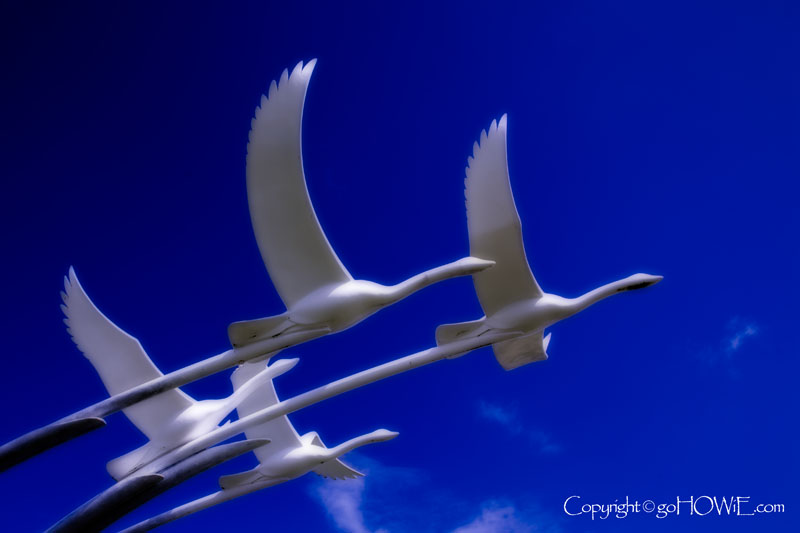 Swan sculpture at Ballycastle, County Antrim, Northern Ireland