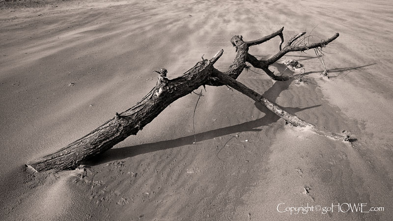 Driftwood on the beach at Talacre, North Wales