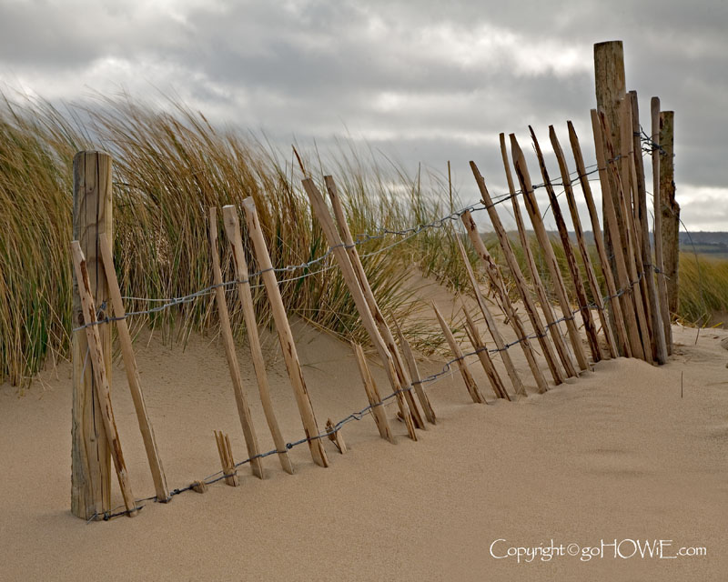 Wooden fence and dune, Talacre, North Wales