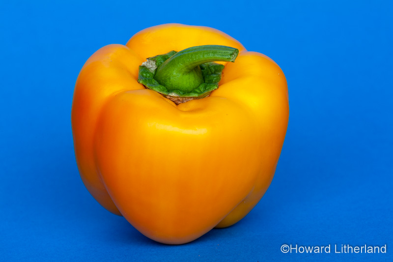 Yellow bell pepper