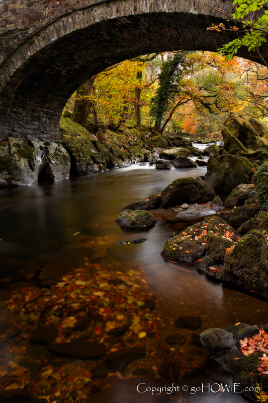 The river Conwy lined with trees in their autumn colours flowing under an old stone bridge near Betws-y-Coed in the Snowdonia National Park, North Wales