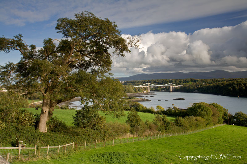 The Telford suspension bridge over the Menai Straits, joining Anglesey to the North Wales mainland, with a tree in the foreground