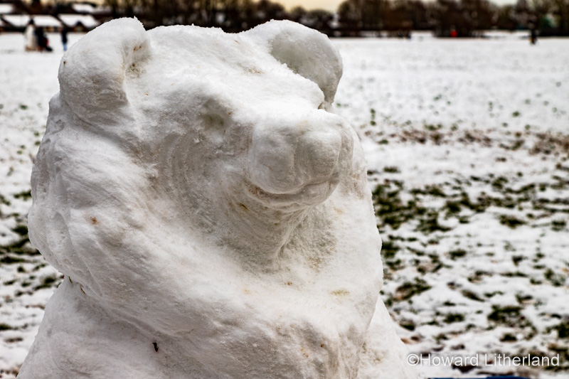 Snowbear sculpture made from snow, Buckley, North Wales
