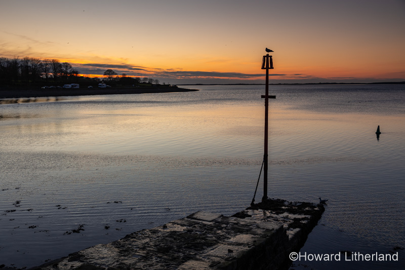 Seagull on a post at dusk at Caernarfon, North Wales coast