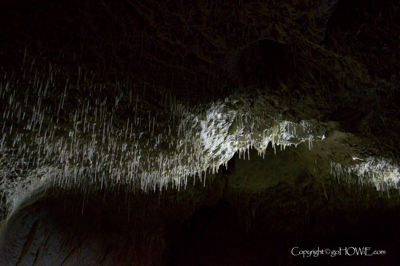 Postojnska caves, Slovenia