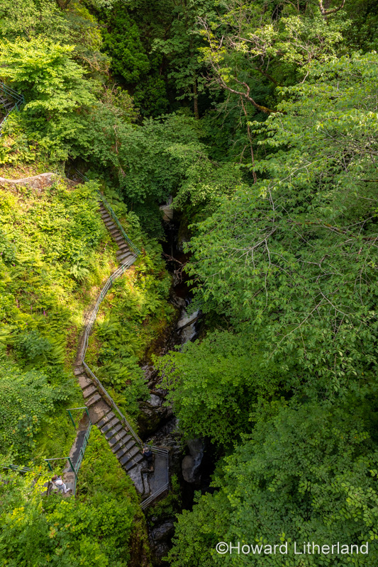River Mynach gorge at Devil's Bridge, Ceredigion, Wales