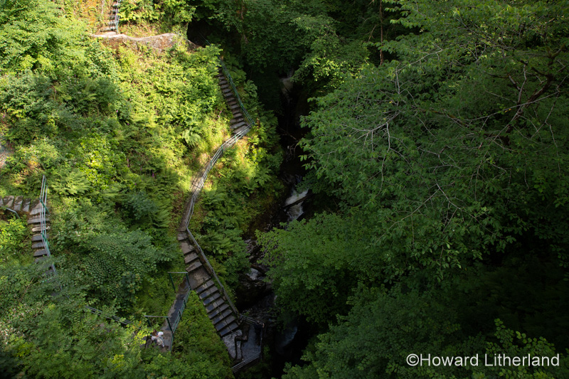 River Mynach gorge at Devil's Bridge, Ceredigion, Wales
