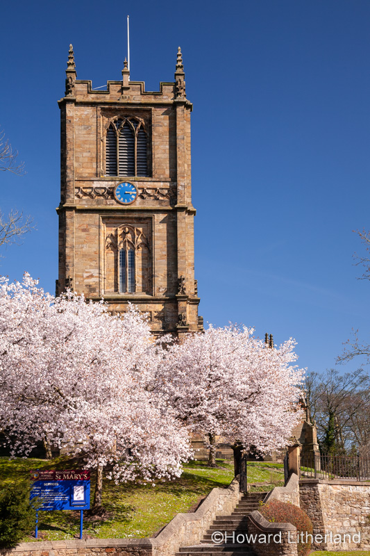 Saint Marys parish church Mold with spring blossom
