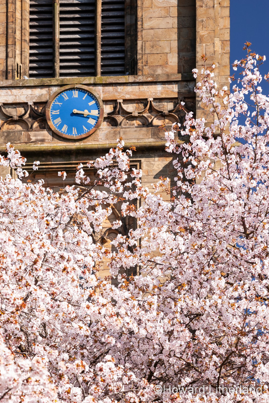 Saint Marys parish church Mold with spring blossom