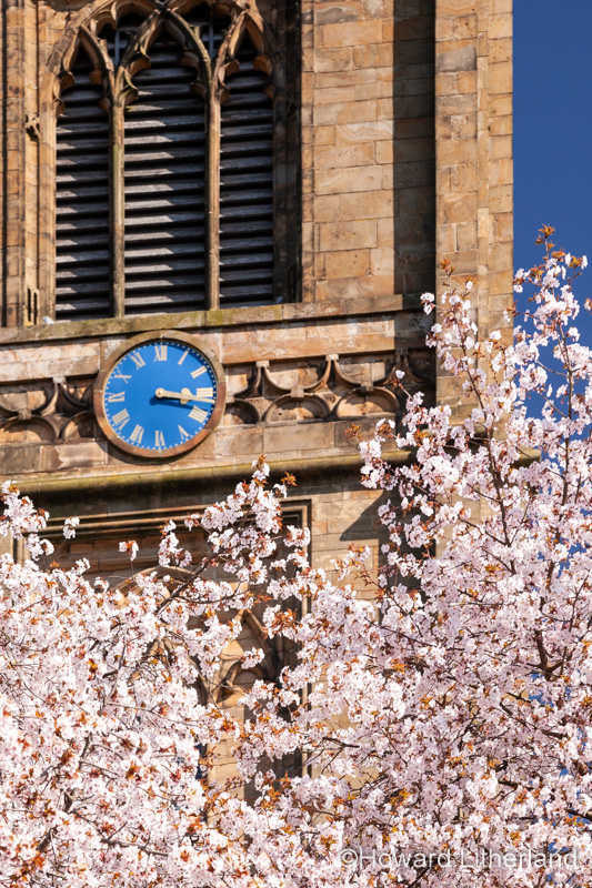 Saint Marys parish church Mold with spring blossom