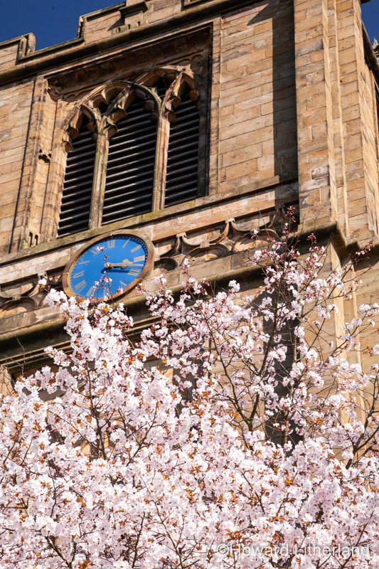 Saint Marys parish church Mold with spring blossom