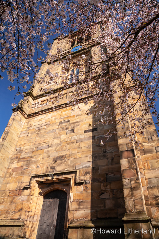 Saint Marys parish church Mold with spring blossom