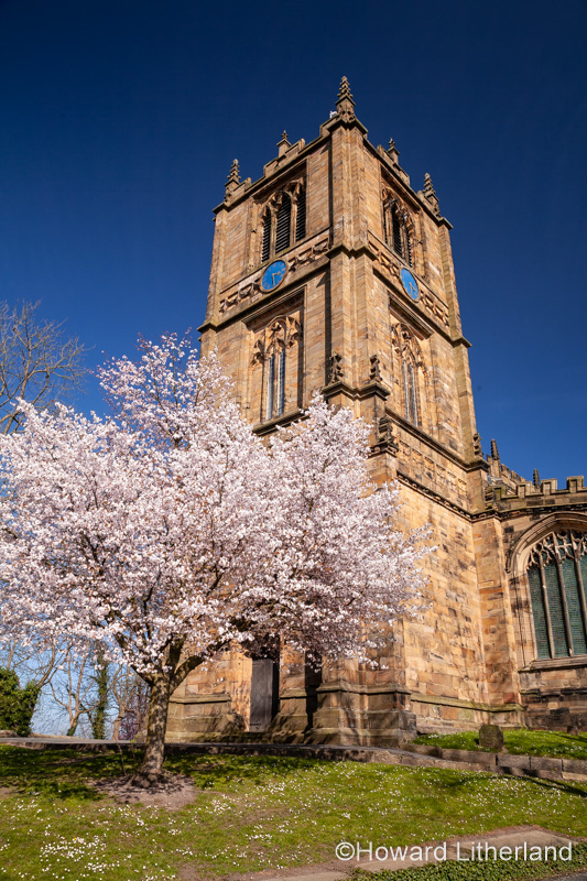 Saint Marys parish church Mold with spring blossom