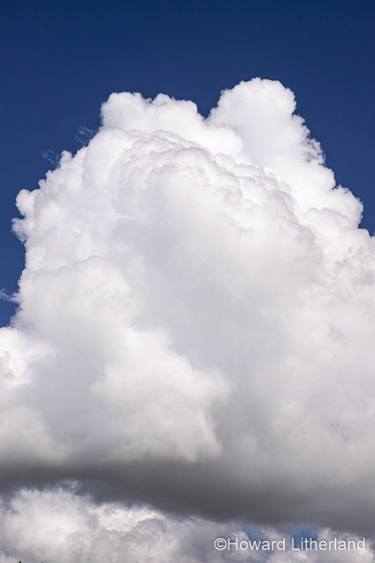 Large cumulus cloud in a deep blue sky
