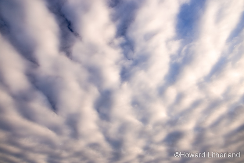 Stratocumulus clouds forming a wave like pattern in the sky