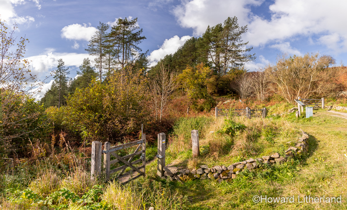 Coed Llangwyfan forest, Clwydian Range, North Wales