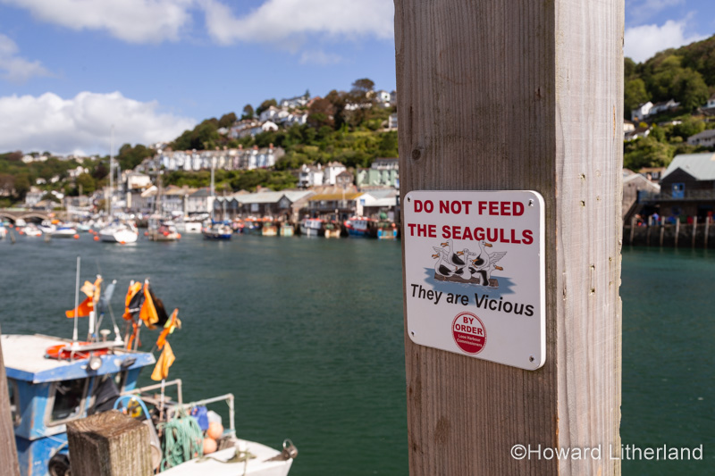 Sign at Looe harbour, Cornwall, England