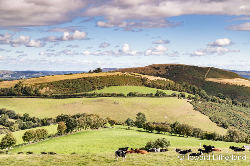 Farmland on the Denbigh moors, North Wales
