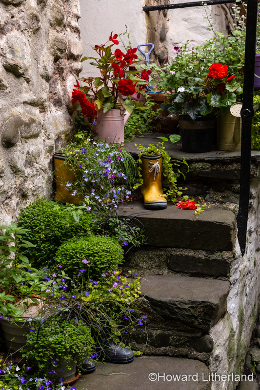 Flowers on steps at Clovelly on the north Devon coast