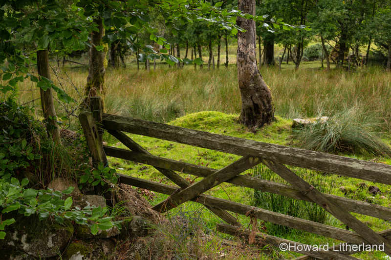 Old wooden gate at Postbridge, Dartmoor, Devon, England