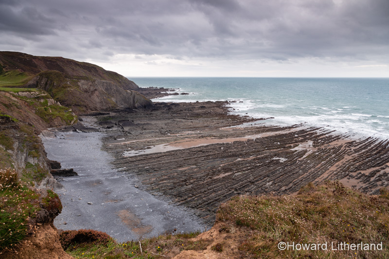 Shoreline rock formations at Hartland Quay, Devon, England