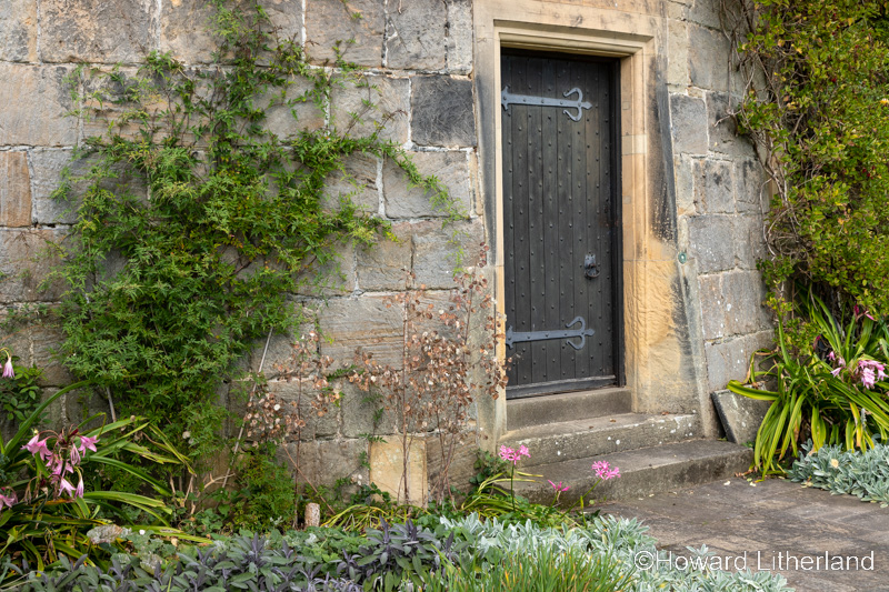 Wooden door in an old stone wall