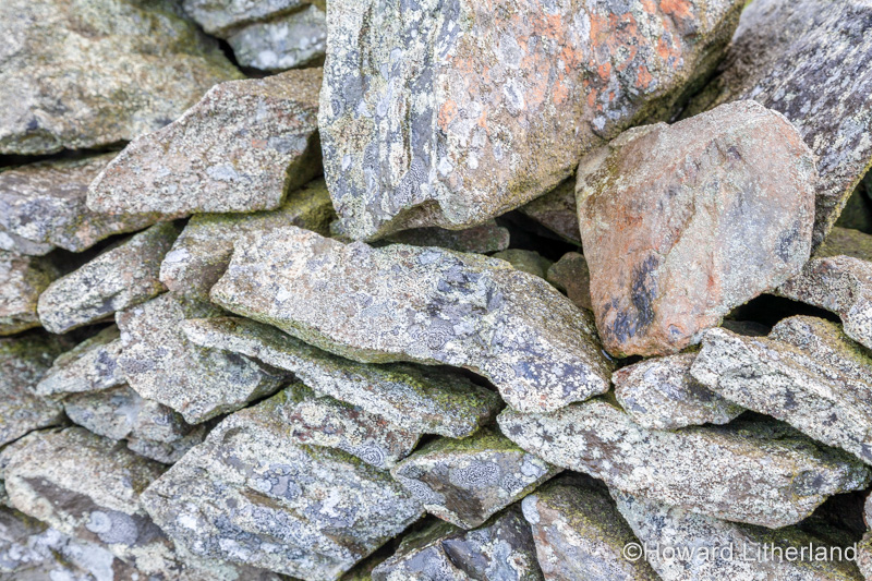 Slate drystone wall with lichen