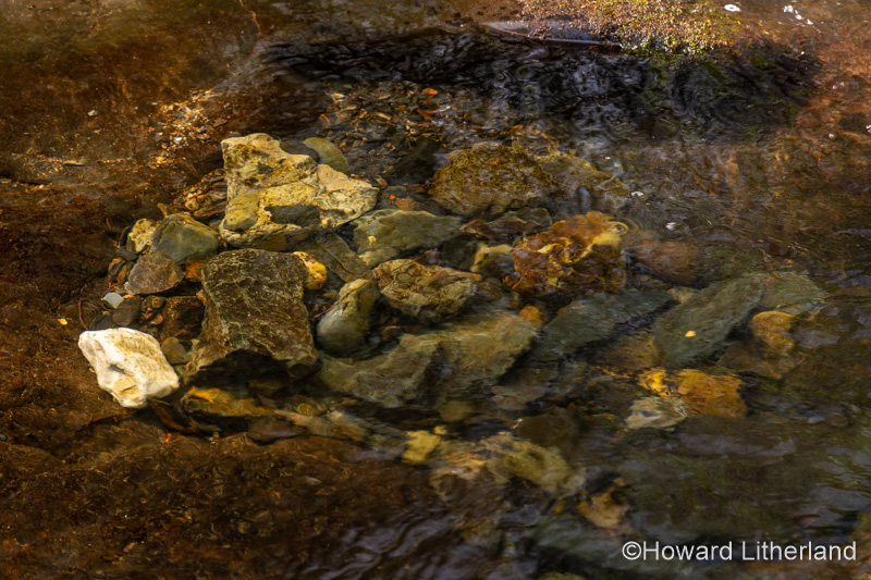 Fairy Falls waterfall at Trefriw, Snowdonia, North Wales